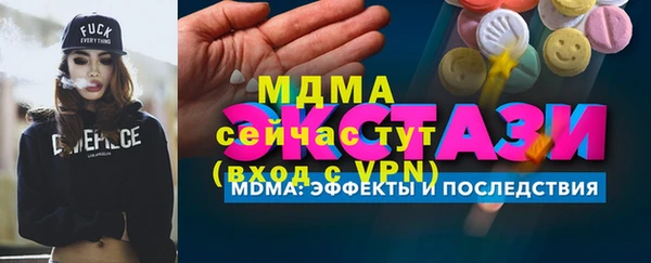 индика Богородицк