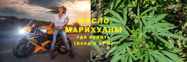 индика Богородицк